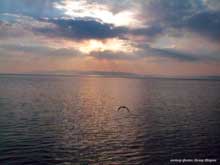 Амурский залив, вид со Спортивной гавани Владивостока, Приморский край, автор фото: Петр Шаров
