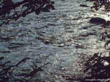 таежная река, Лазовский заповедник, Приморский край, автор фото: Петр Шаров